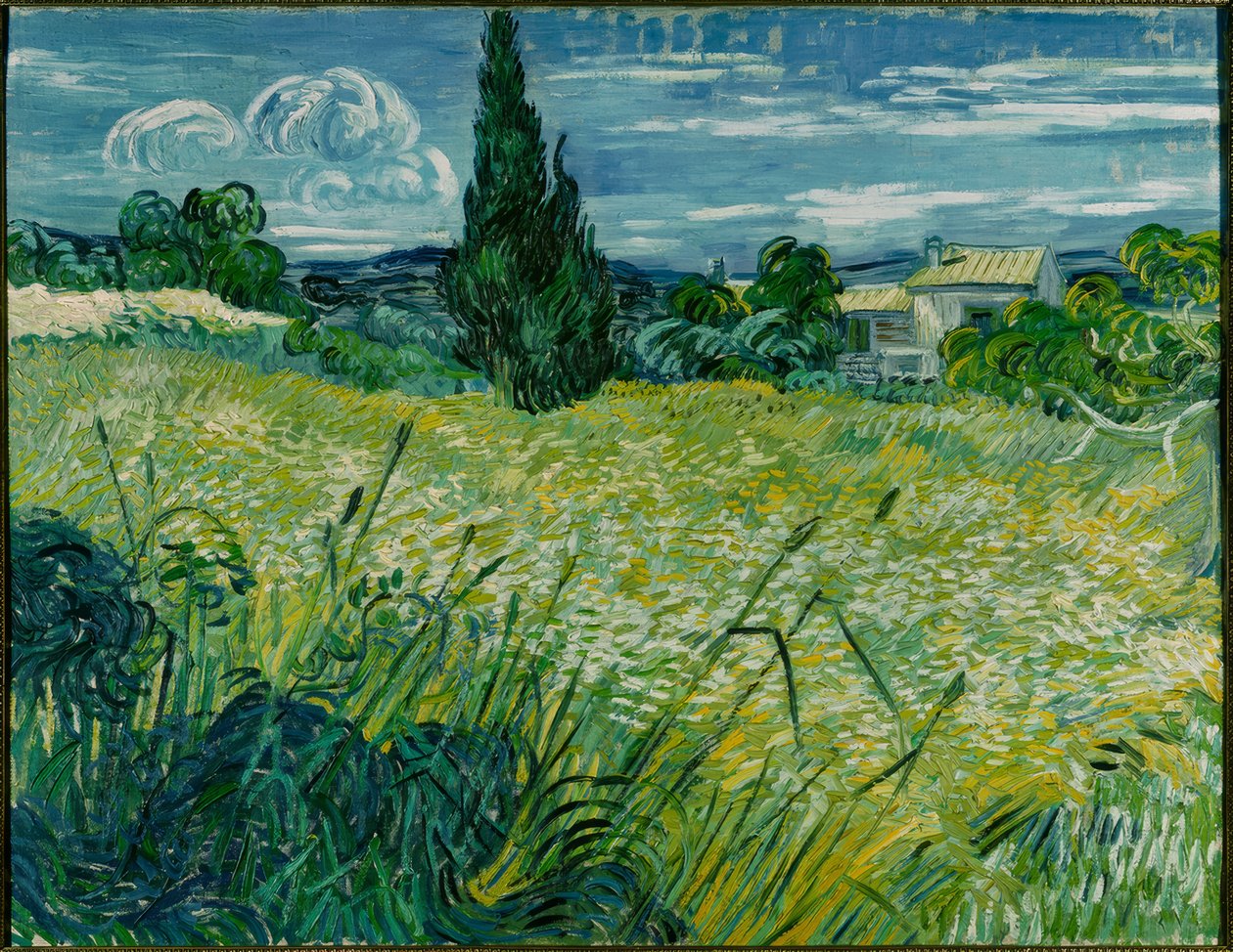 Green Wheat Field with Cypress by Vincent van Gogh