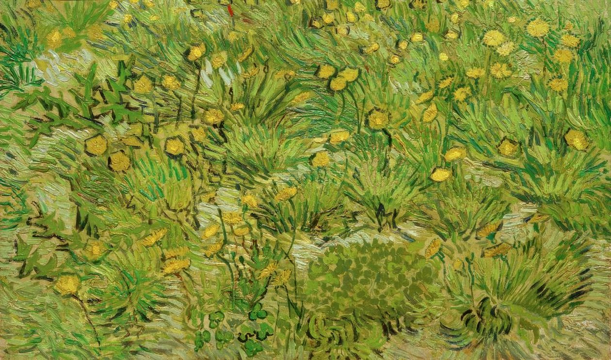 The Dandelions by Vincent van Gogh