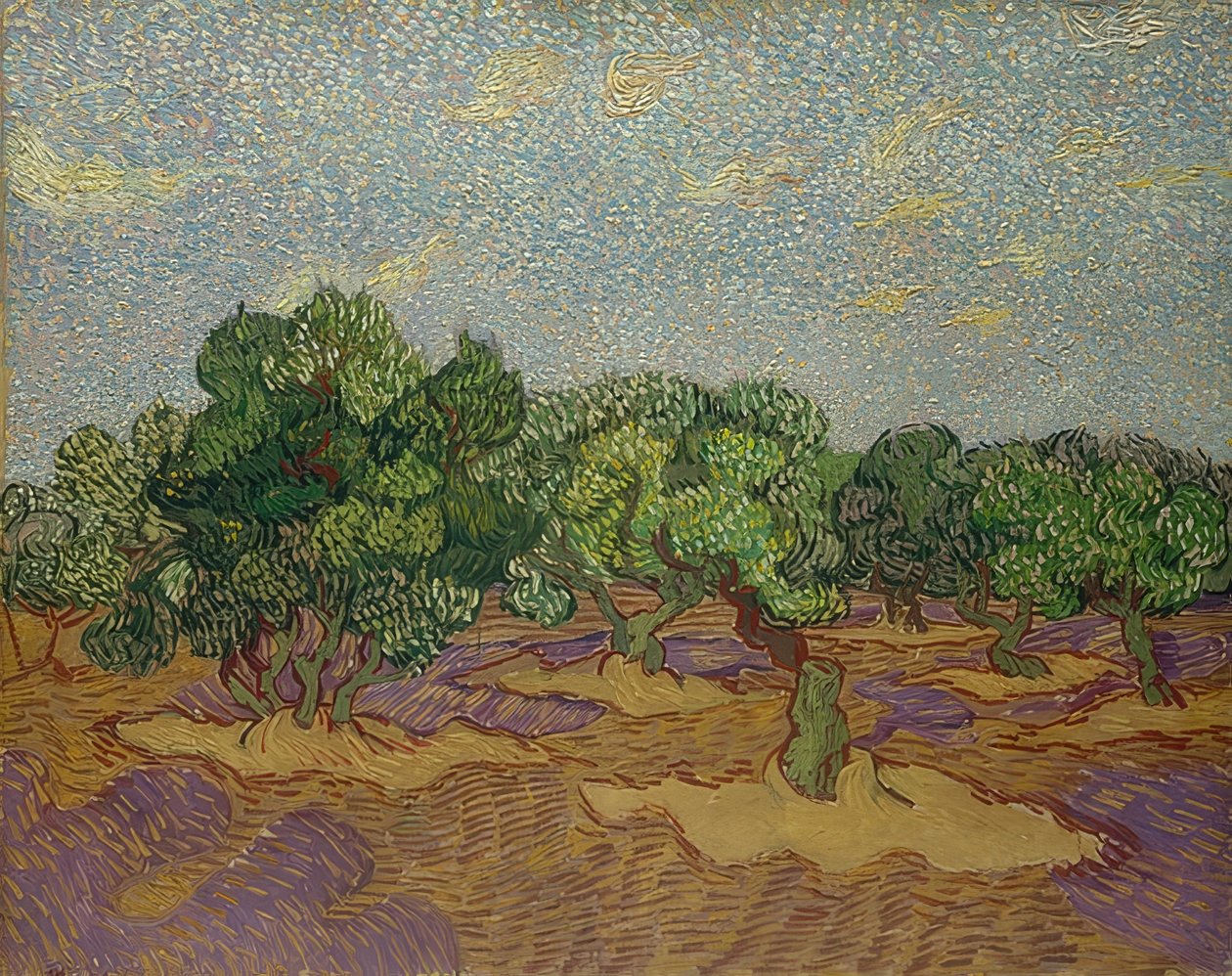 Olive Trees, 1889 by Vincent van Gogh