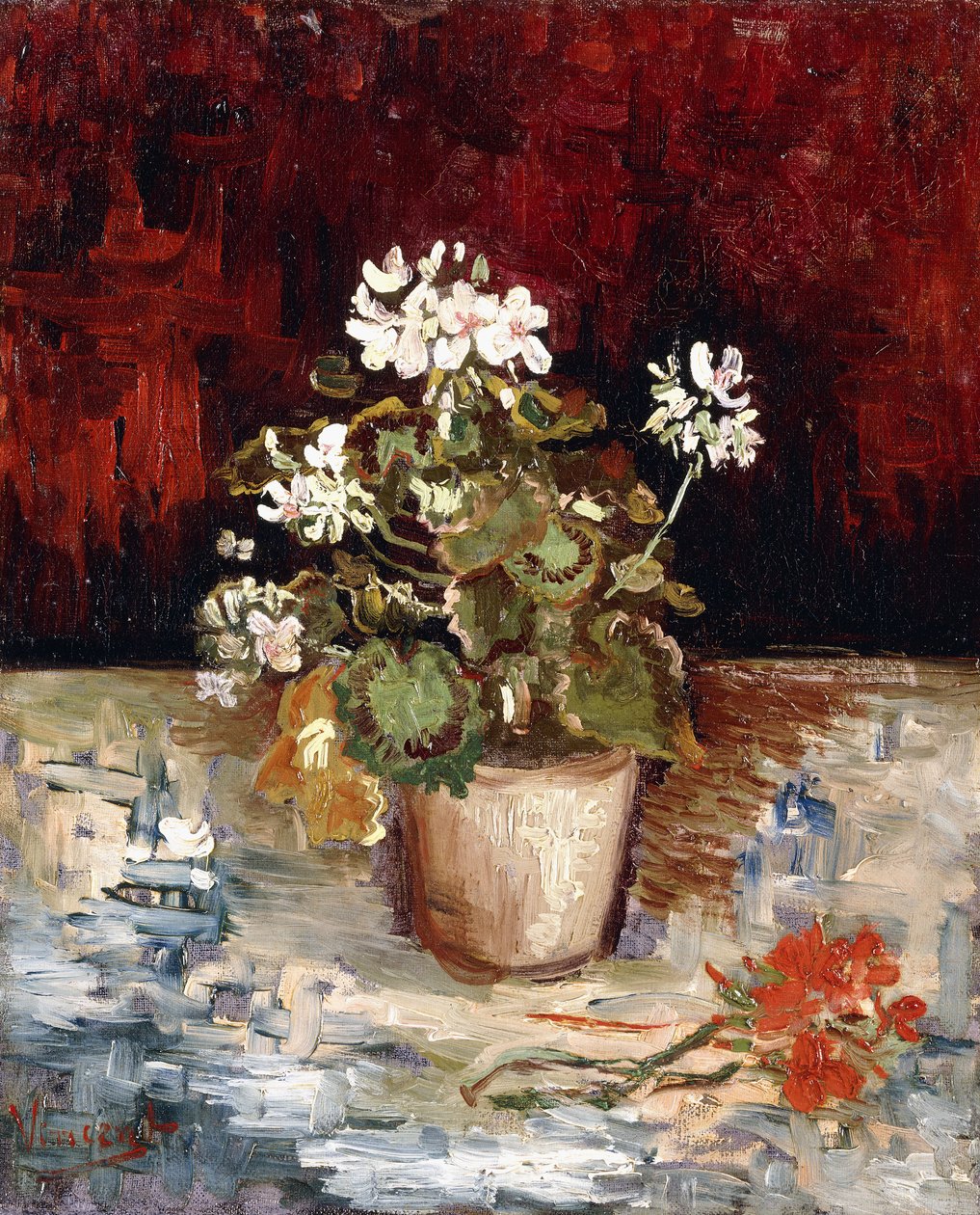 Still Life Pot of Geraniums by Vincent van Gogh