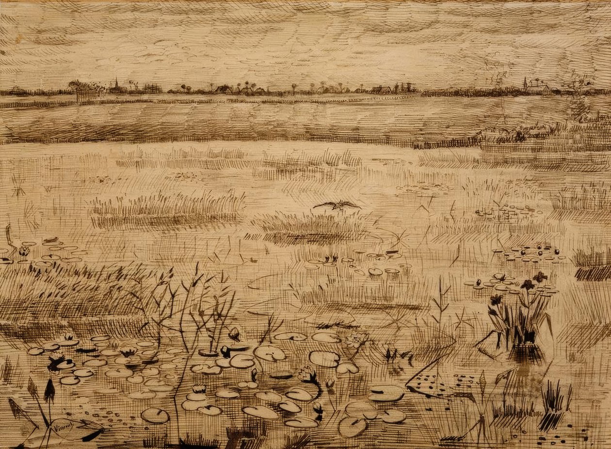 Swamp Landscape with Water Lilies by Vincent van Gogh