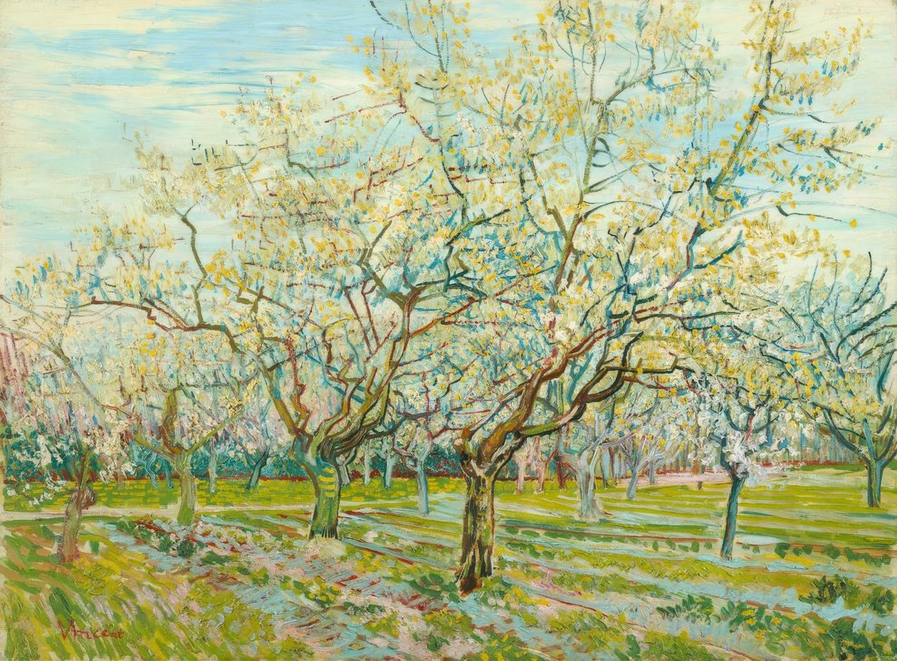 The White Orchard by Vincent van Gogh