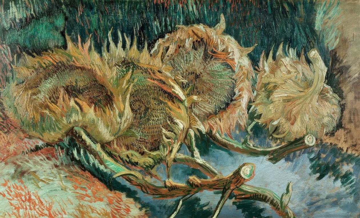 Four Faded Sunflowers by Vincent van Gogh