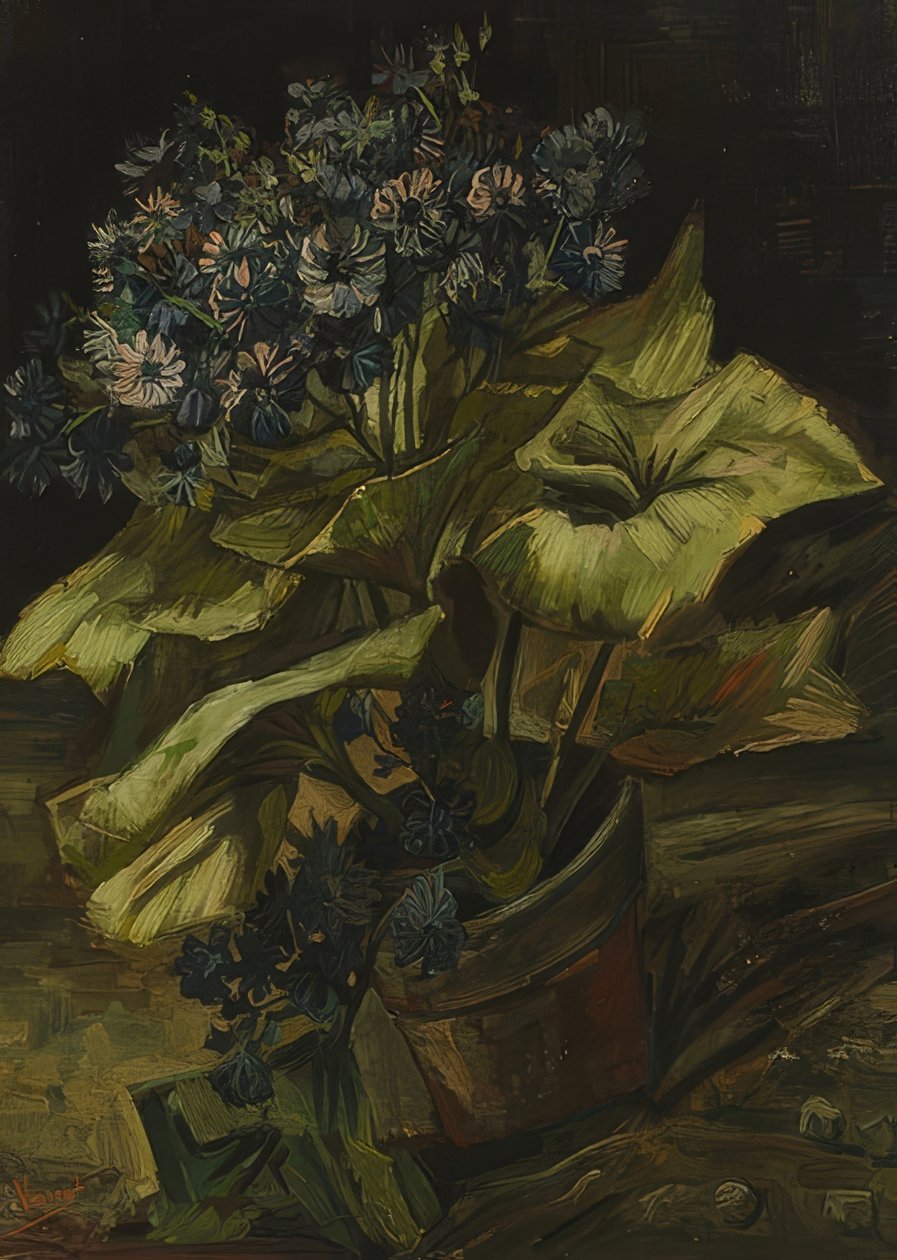 Zinerarie. 1885 by Vincent van Gogh