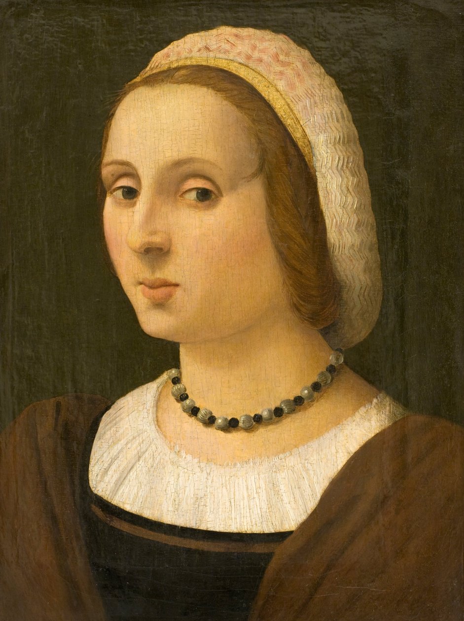 Portrait of a Lady by Vincenzo Tamagni