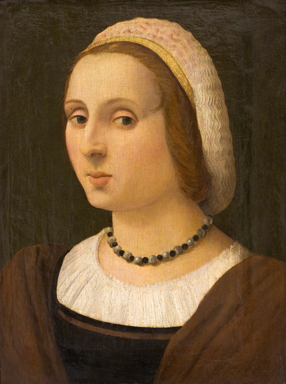 Portrait of a Lady by Vincenzo Tamagni