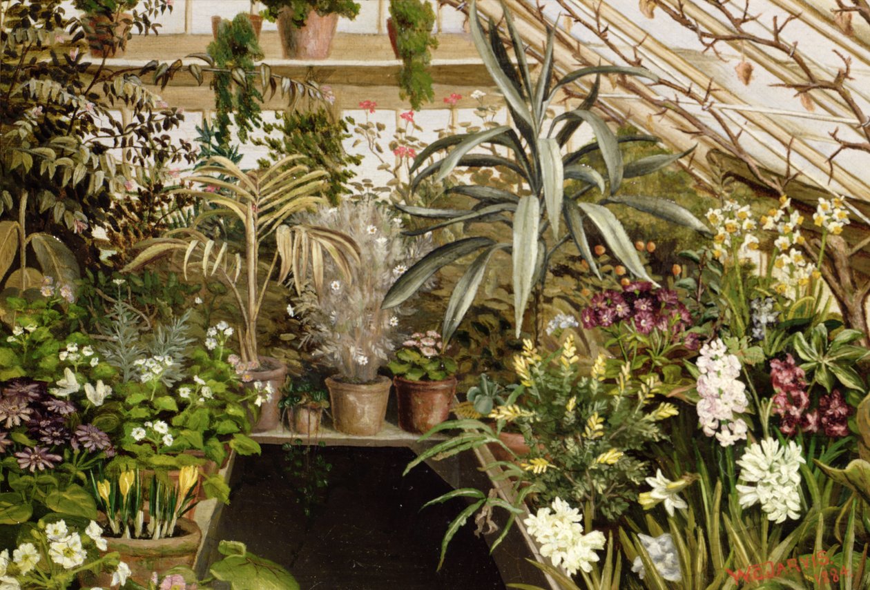The Conservatory by W.C. Jarvis