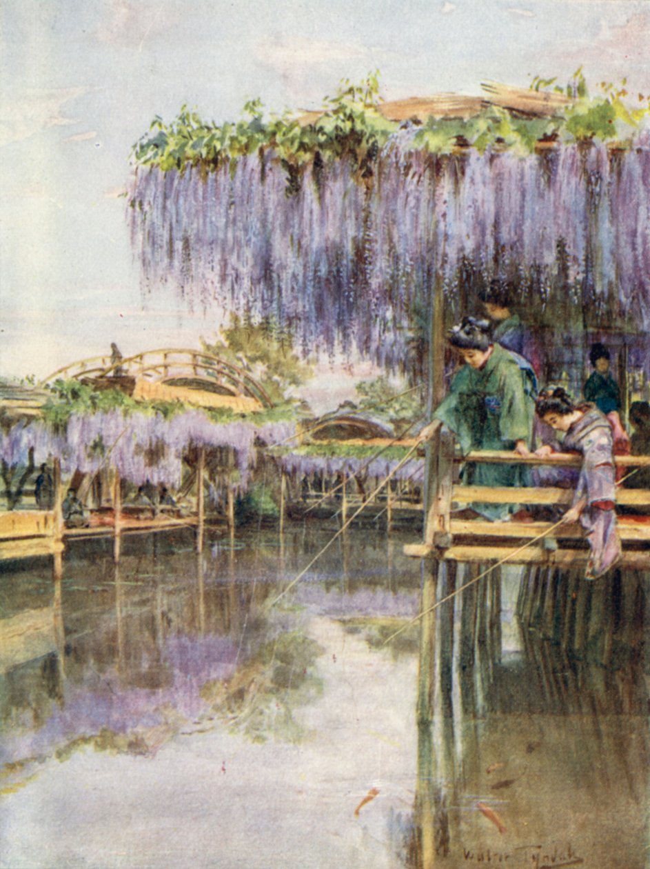 Wistaria at Kameido by Walter Frederick Roofe Tyndale