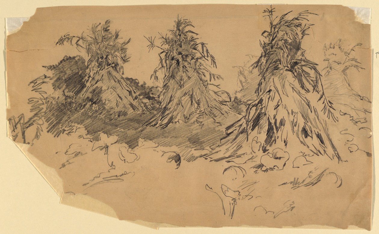 Cornstalks by Walter Shirlaw