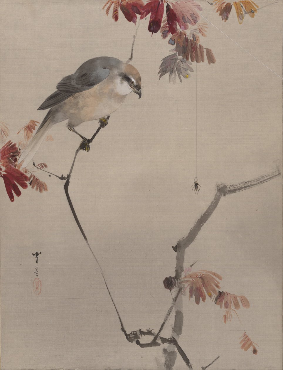 Bird on Branch Watching Spider by Watanabe Seitei