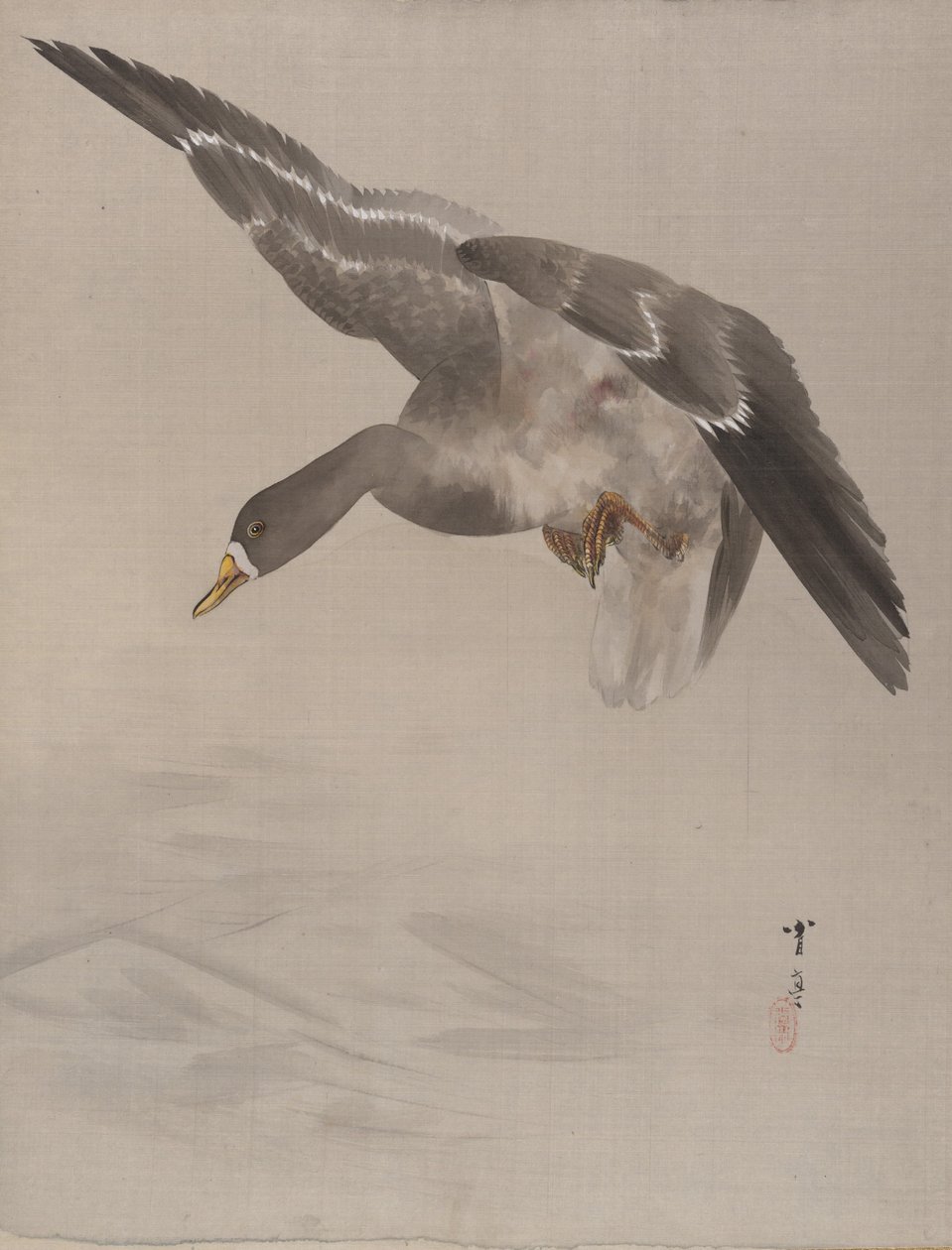 Duck, ca. 1887 by Watanabe Seitei