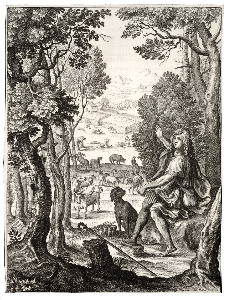 Alexis by Wenceslaus Hollar