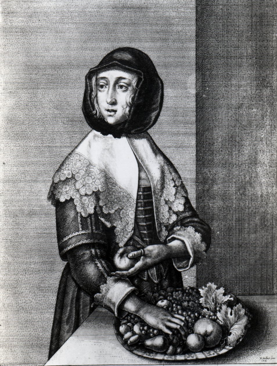 Autumn, 1641 by Wenceslaus Hollar
