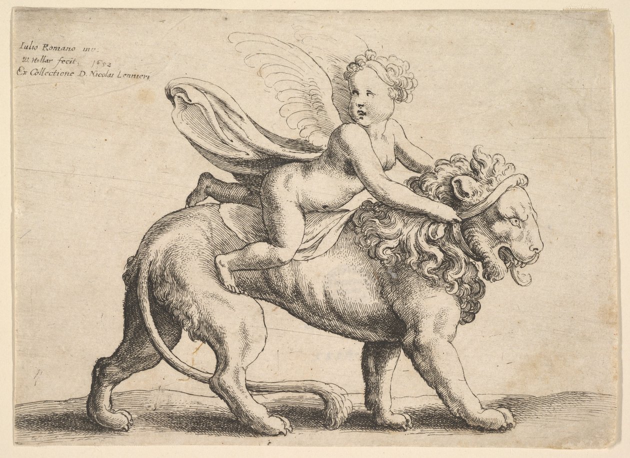 Cupid on a Lion by Wenceslaus Hollar