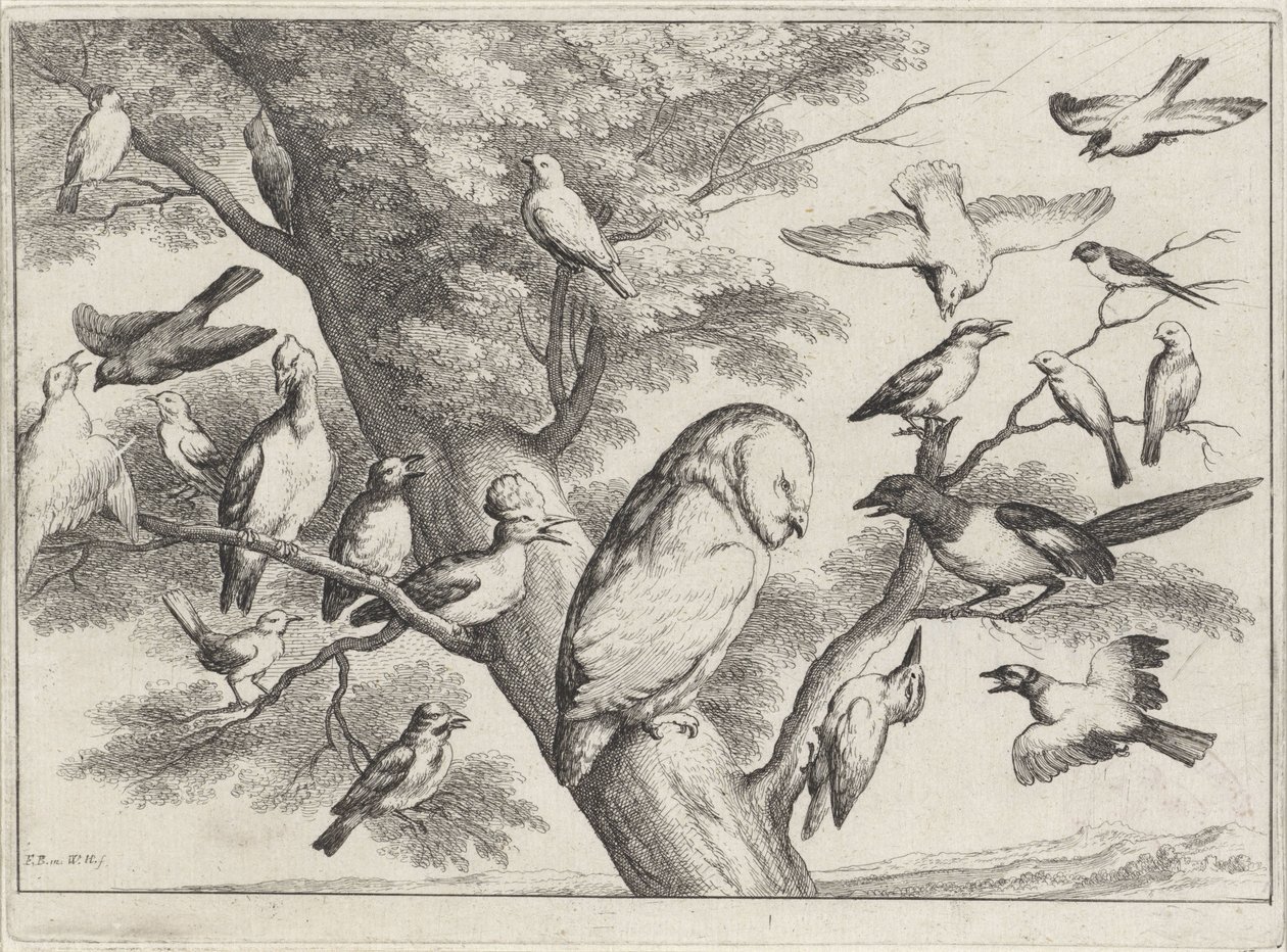 Birds in a Tree by Wenceslaus Hollar