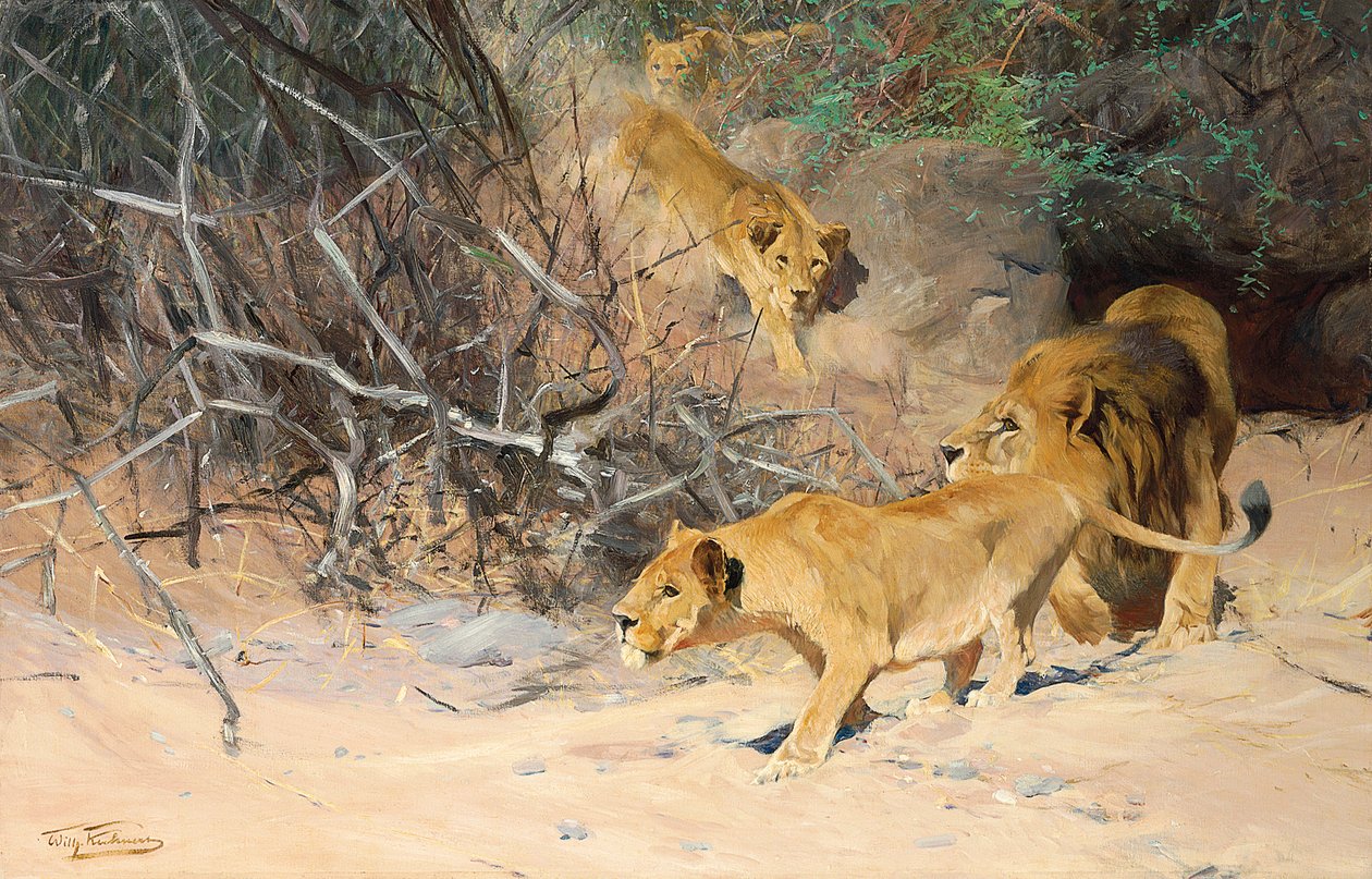 A Pride of Lions on the Prowl by Wilhelm Kuhnert