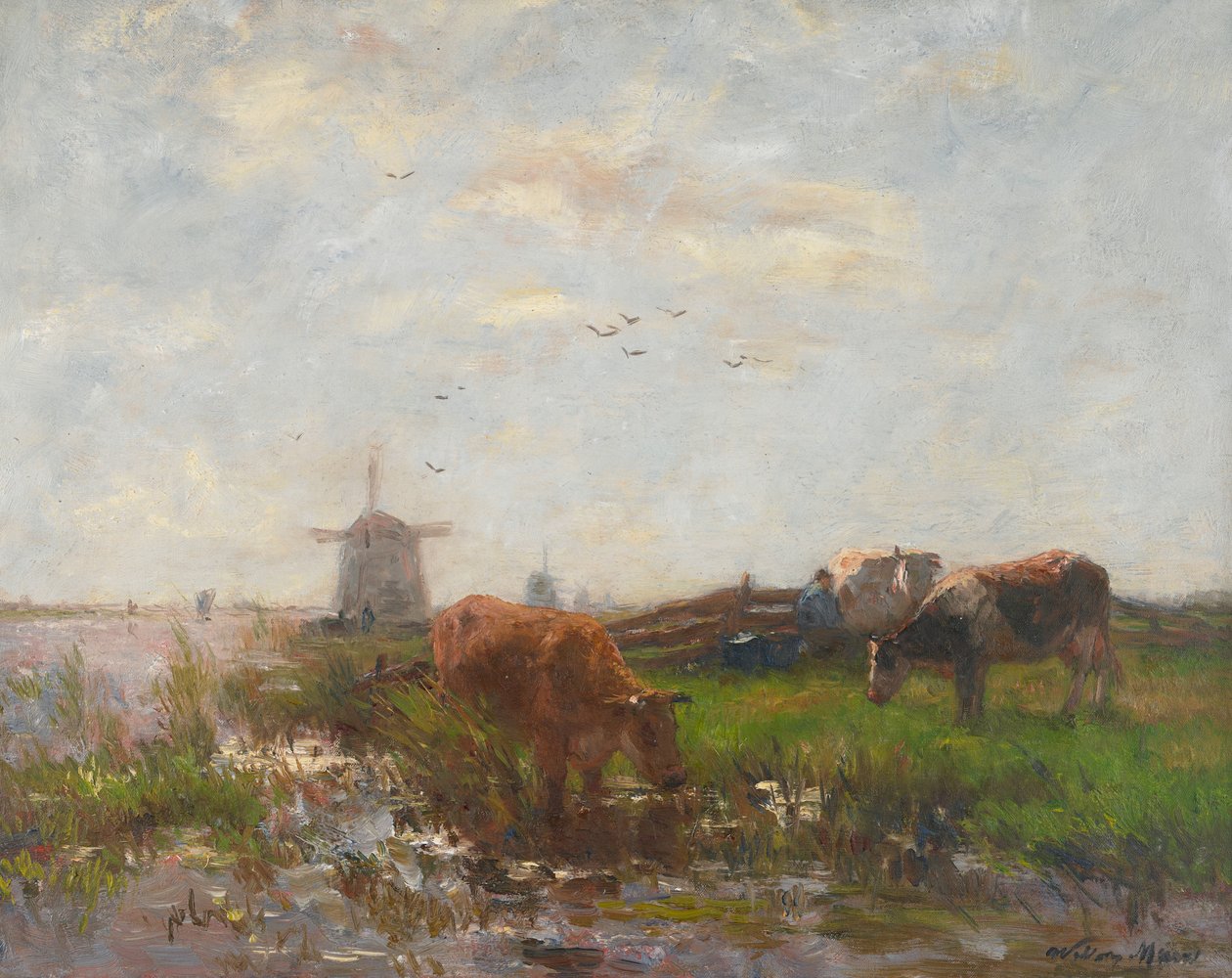 Cattle Grazing at the Water