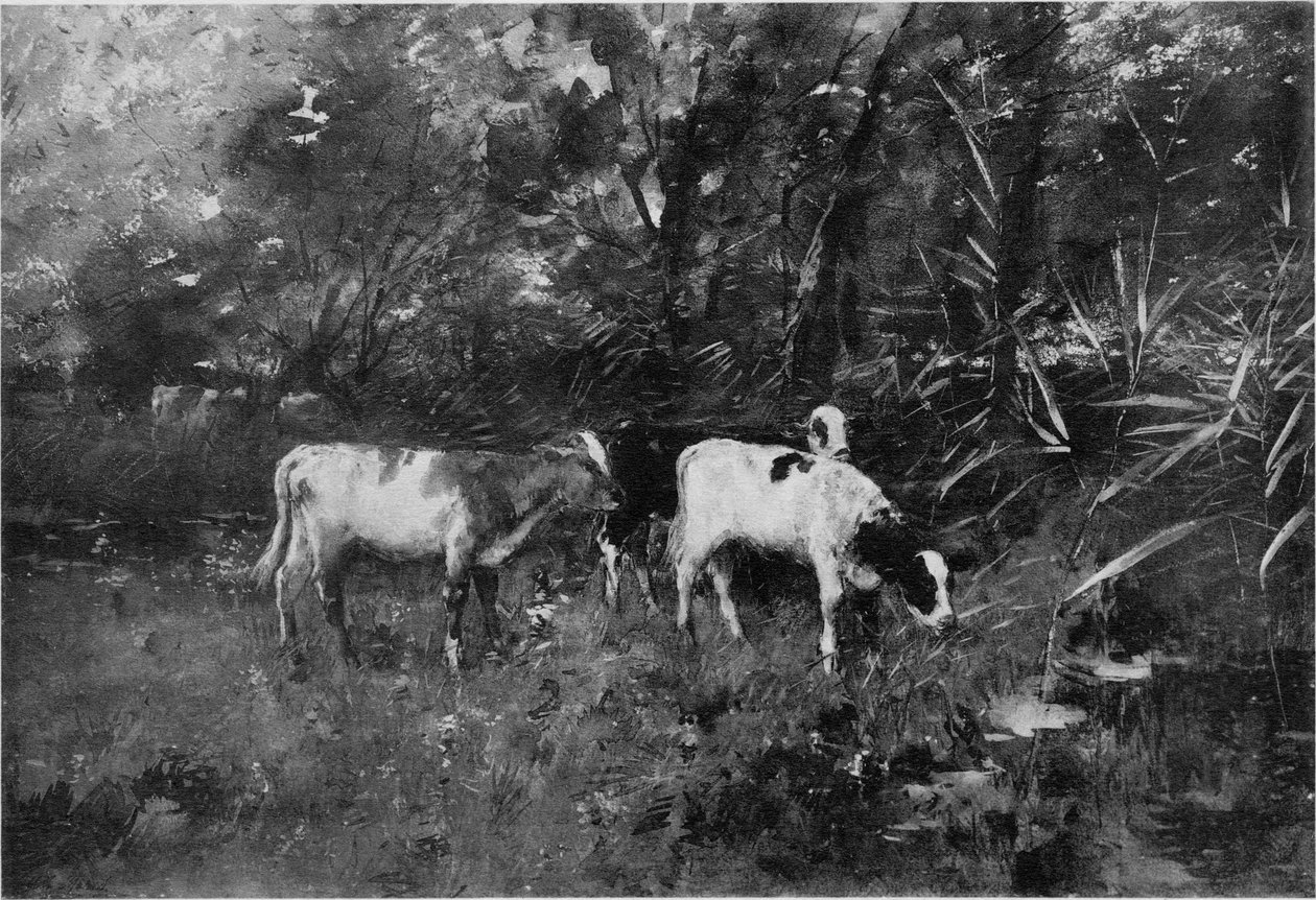 Cows by Willem Maris