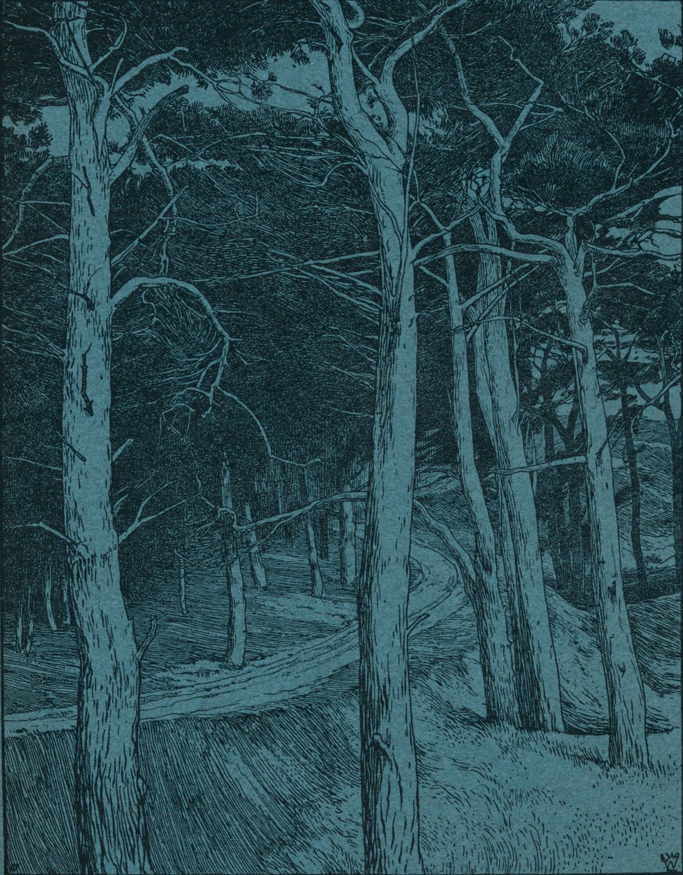 Woodland by Willem Wenckebach