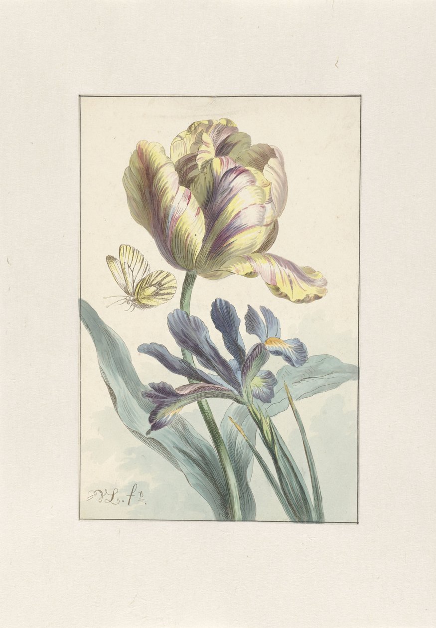 Tulip and Iris by Willem van Leen