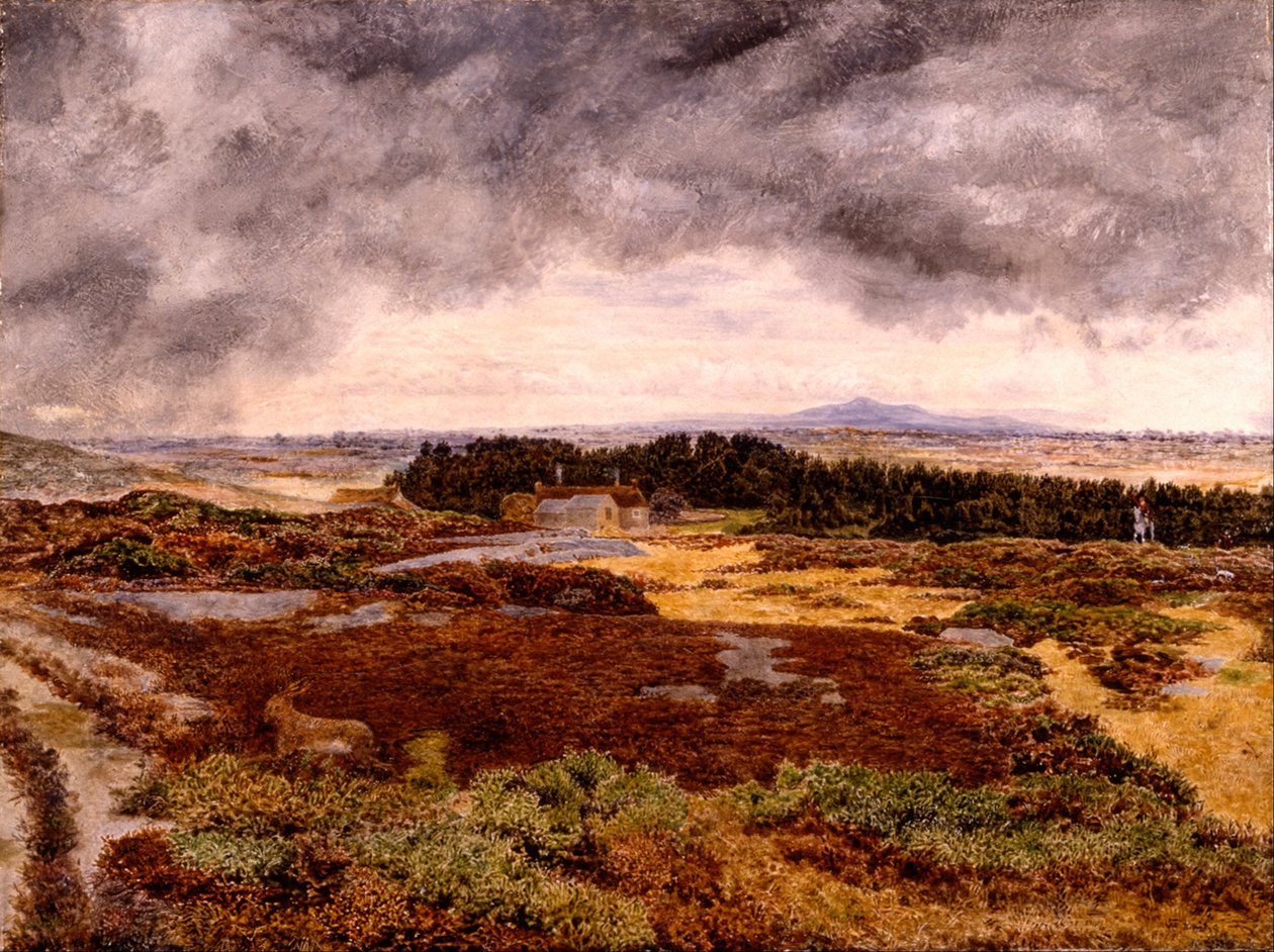 View from Bidston Hill by William Davis