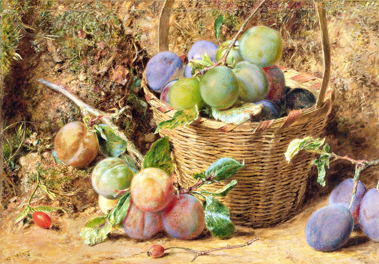 Plums by William Henry Hunt