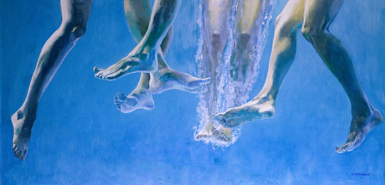 Plunge by William Ireland