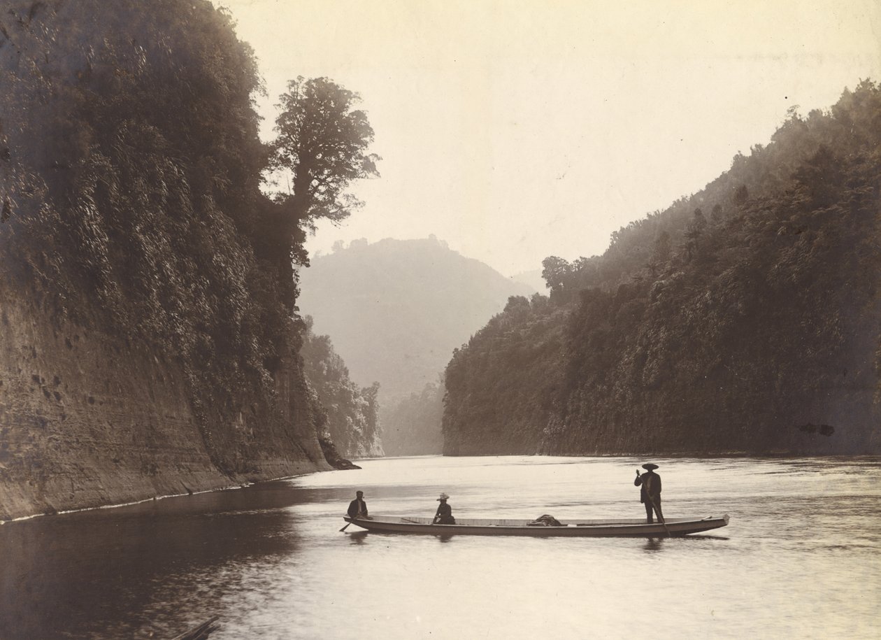 Whanganui River by William Partington