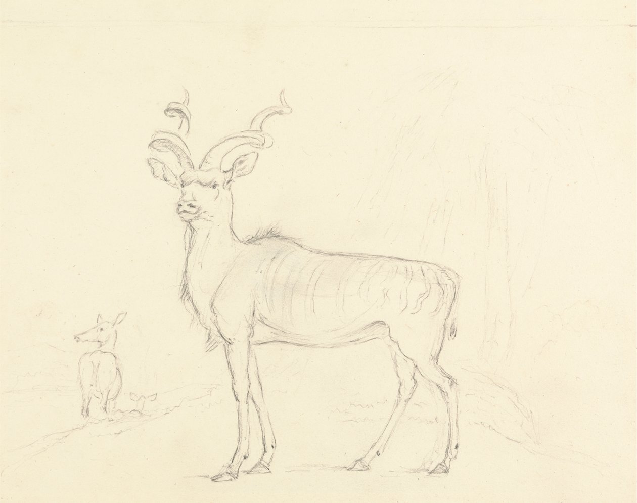 The Koodoo by William Daniell