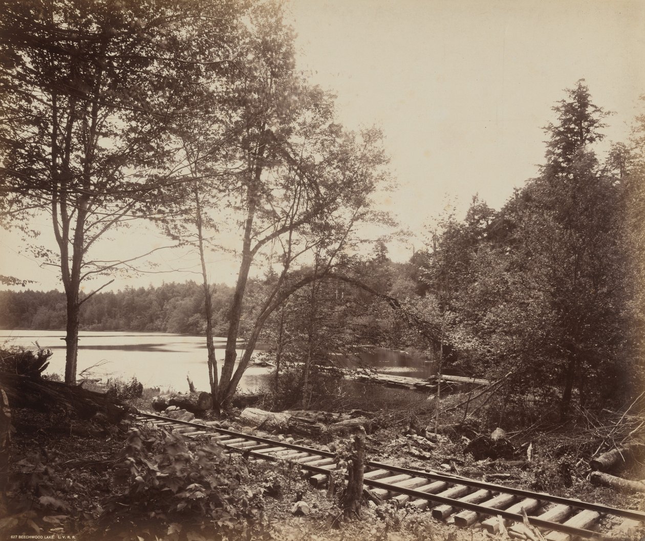 Beechwood Lake by William H. Rau