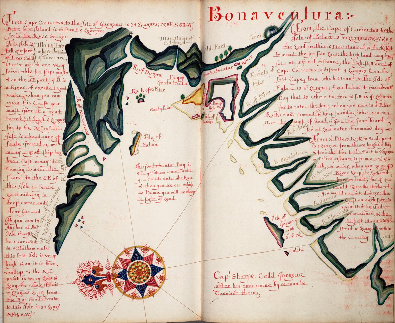 Bonaventura by William Hack