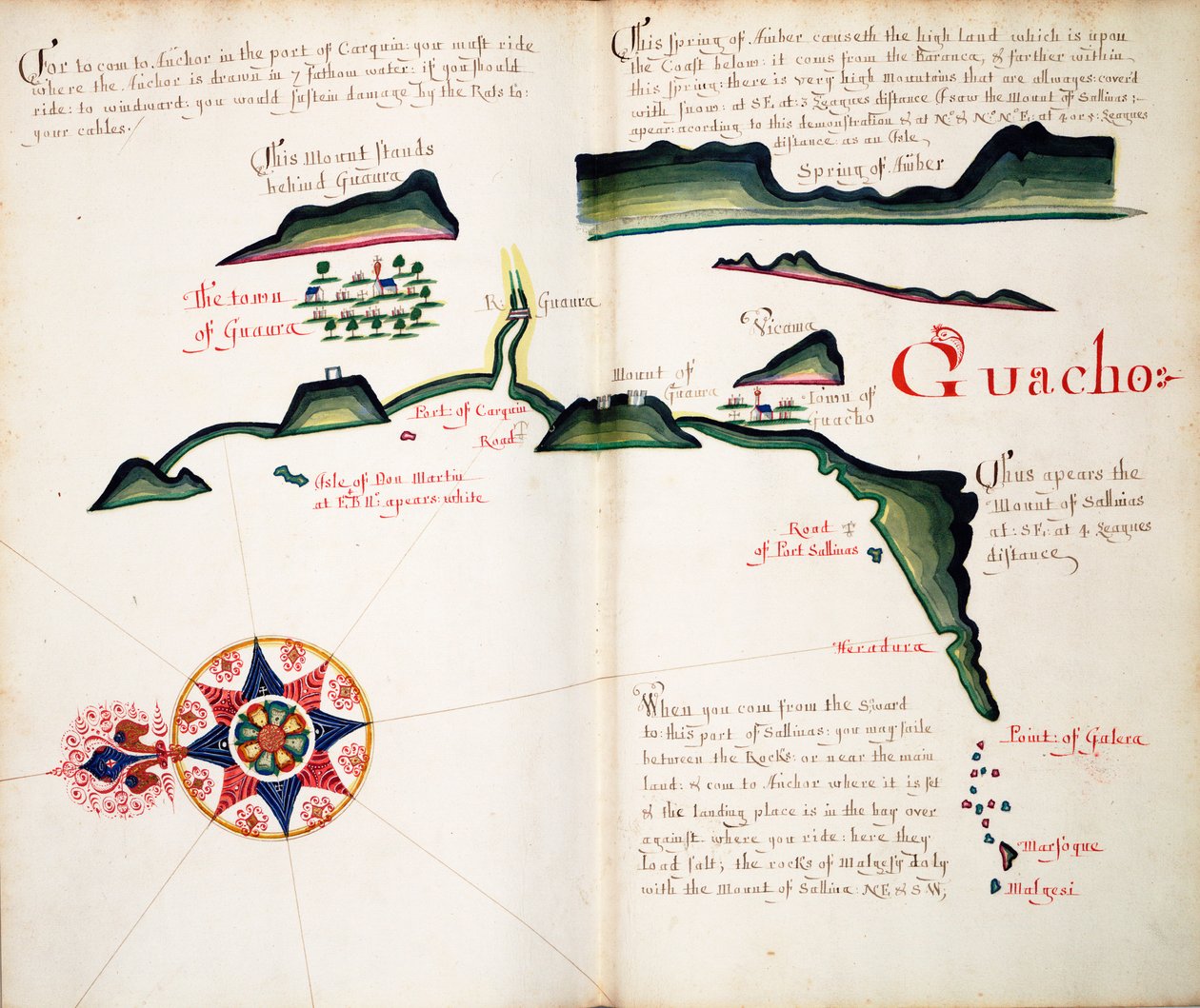 Guacho by William Hack