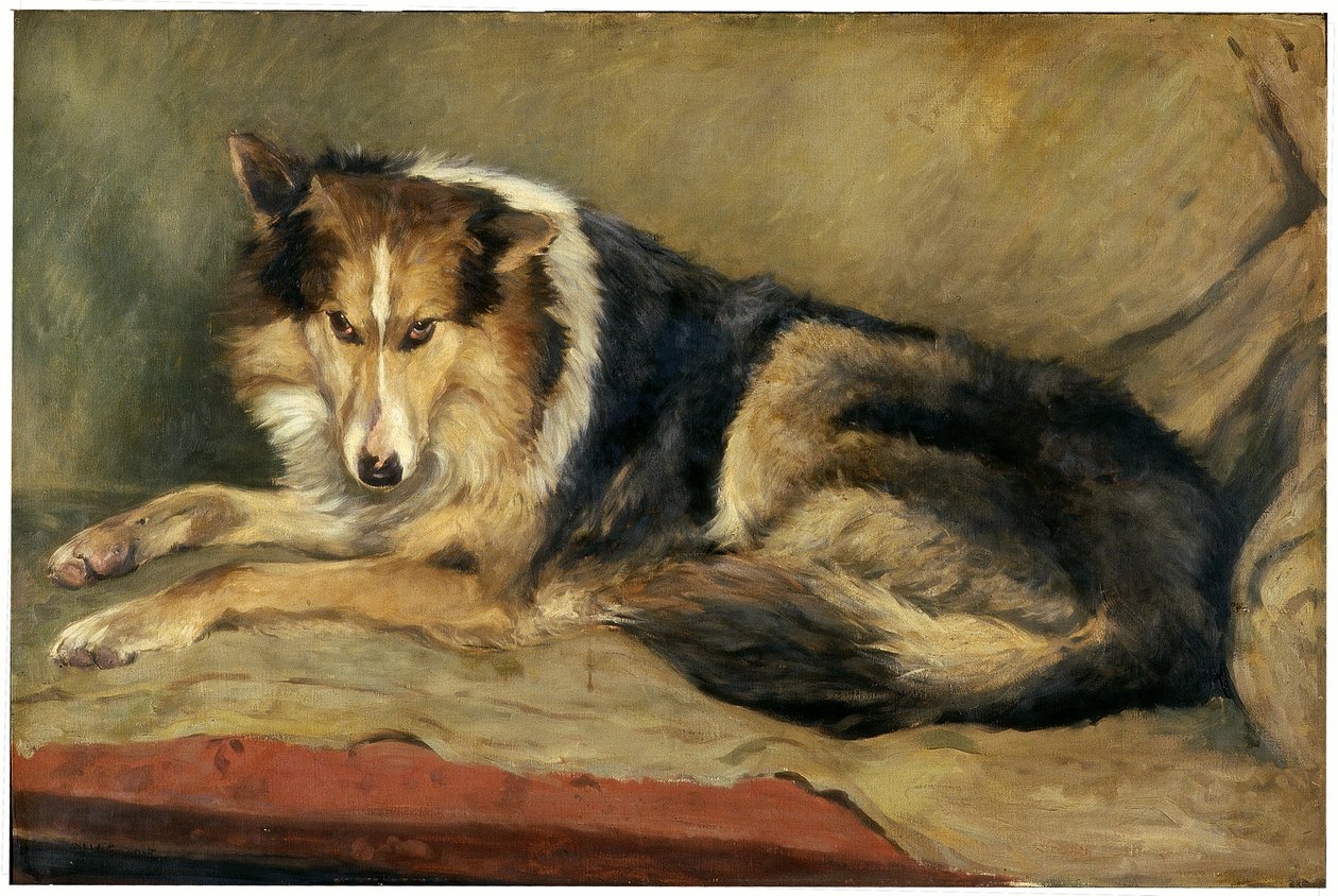 Collie Dog by William Henry Charlton
