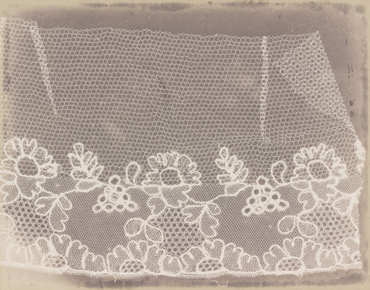 Lace by William Henry Fox Talbot