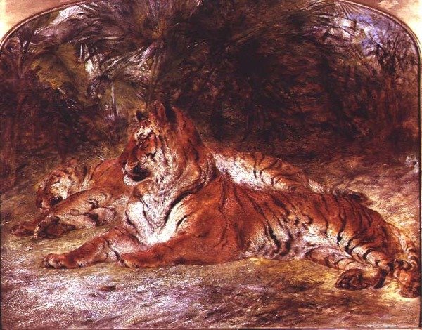 Tigers by William Huggins