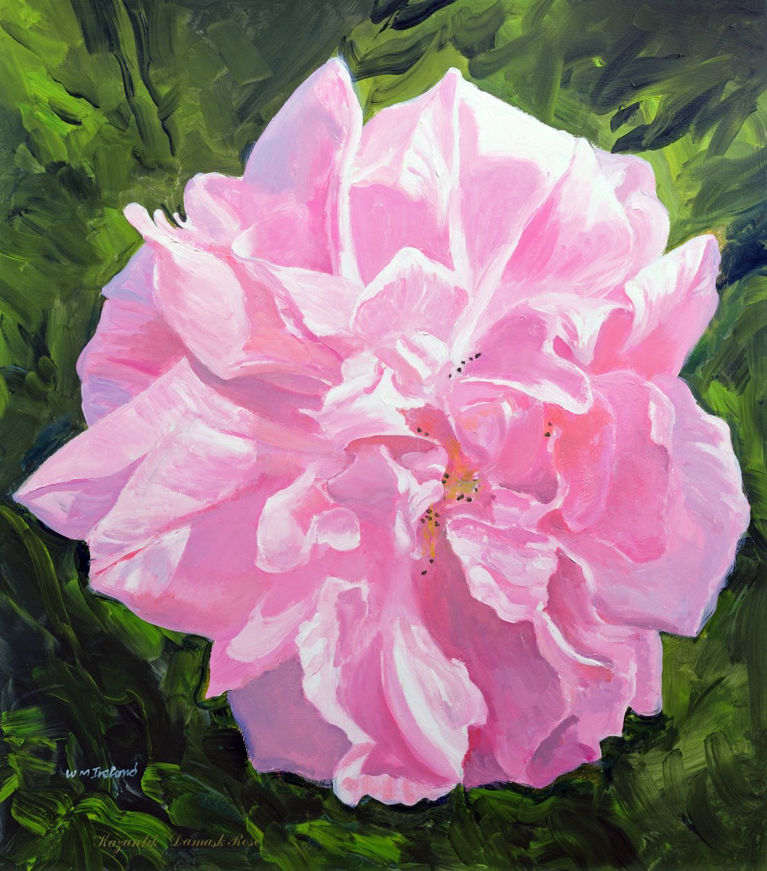 Victorian Rose by William Ireland