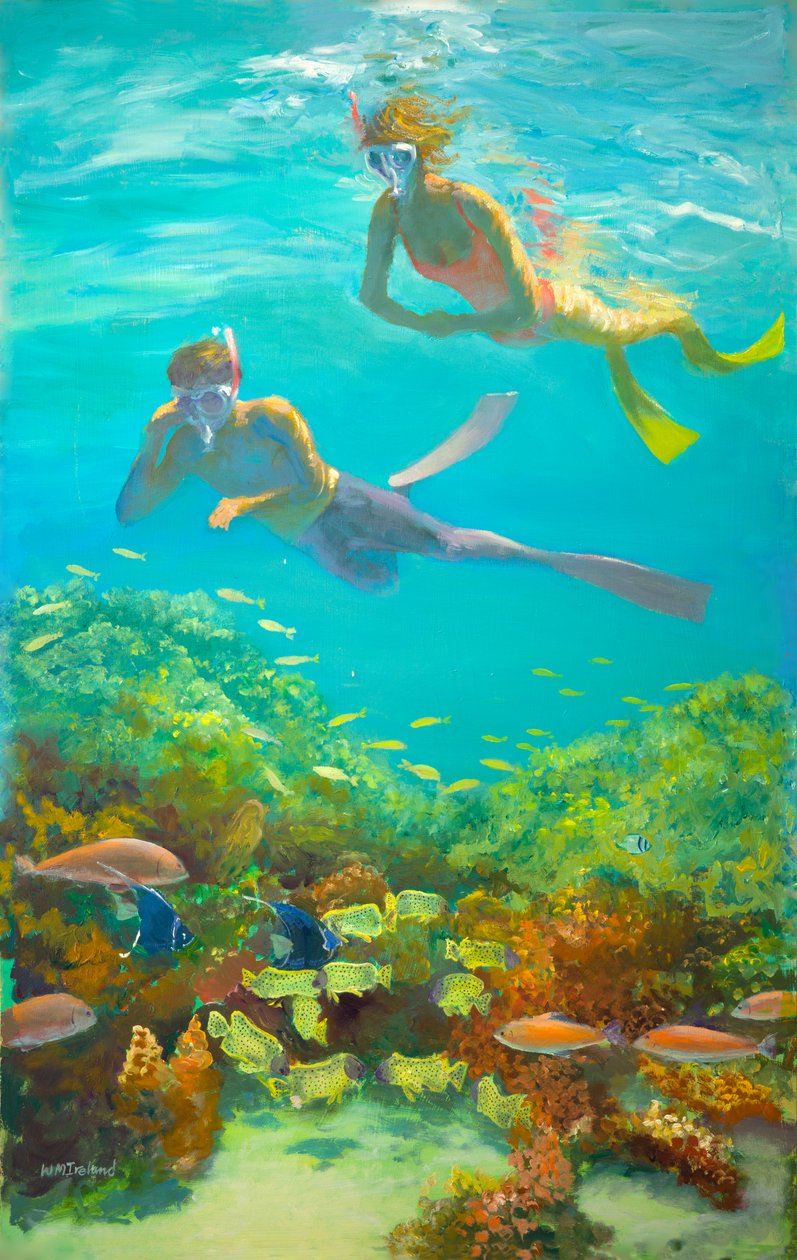 Yellow Flippers by William Ireland