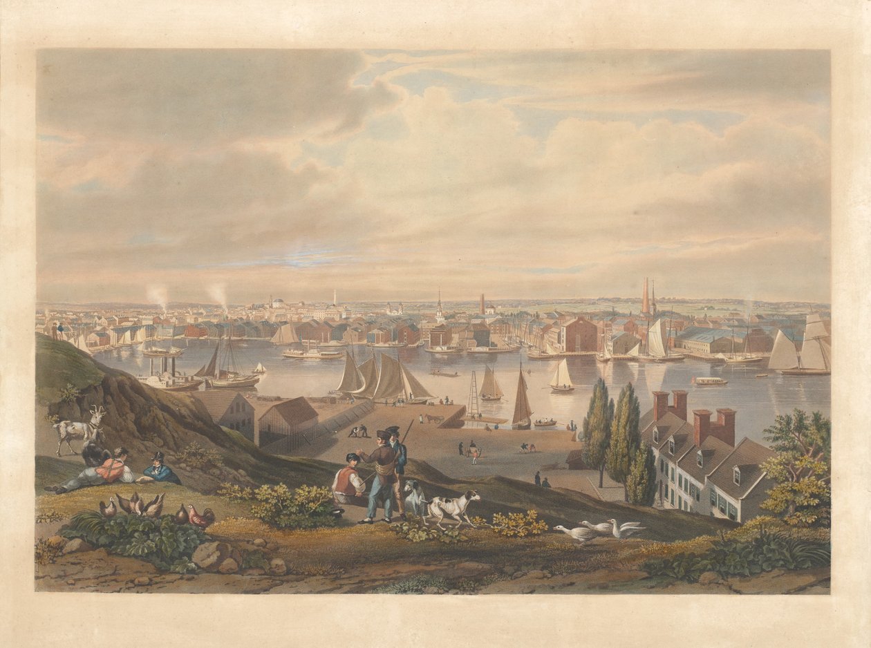 Baltimore from Federal Hill by William James Bennett