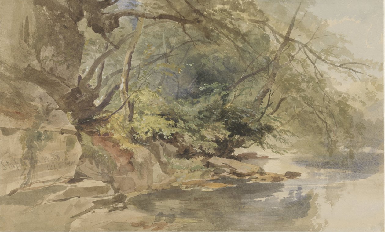 View in Stapleton Wood, near Bristol by William James Muller