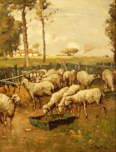 The Sheep Fold by William McBride