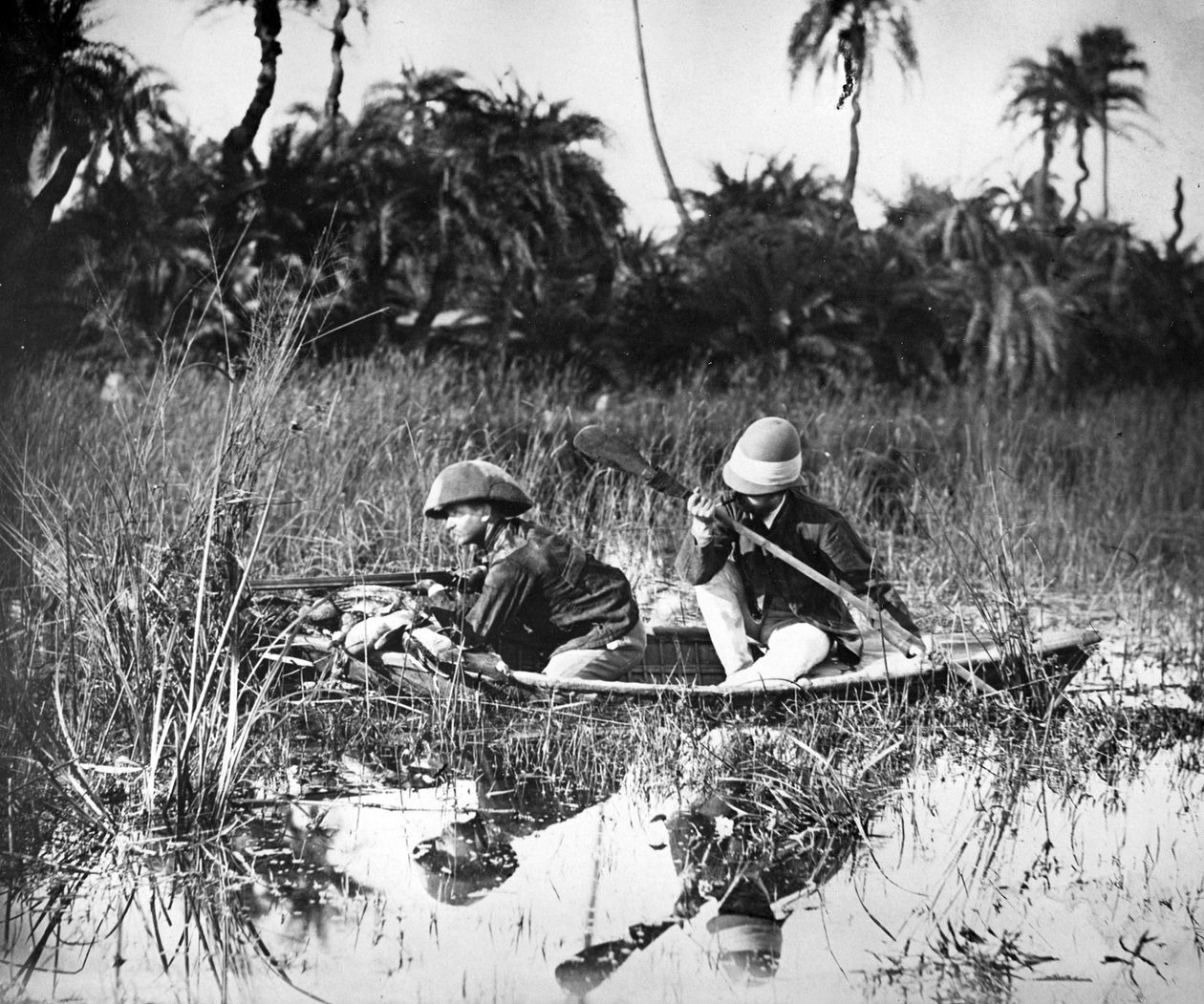 Duck Shooting in India, c.1878 by Willoughby Wallace Hooper