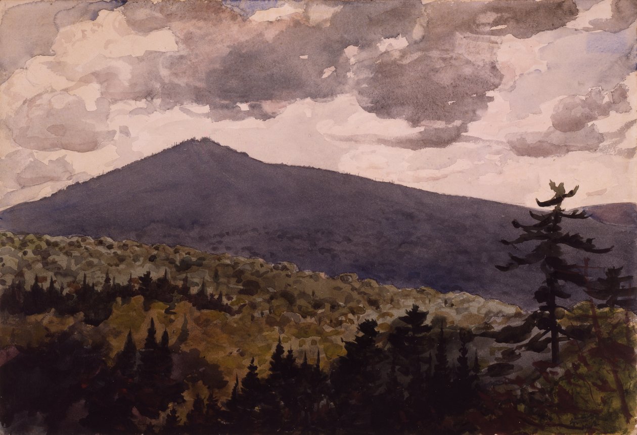Burnt Mountain by Winslow Homer