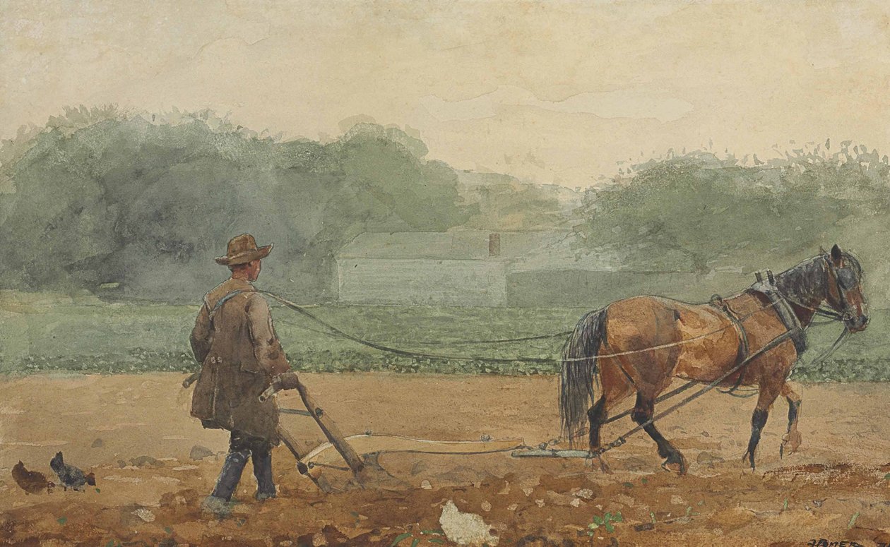 The Plowman by Winslow Homer