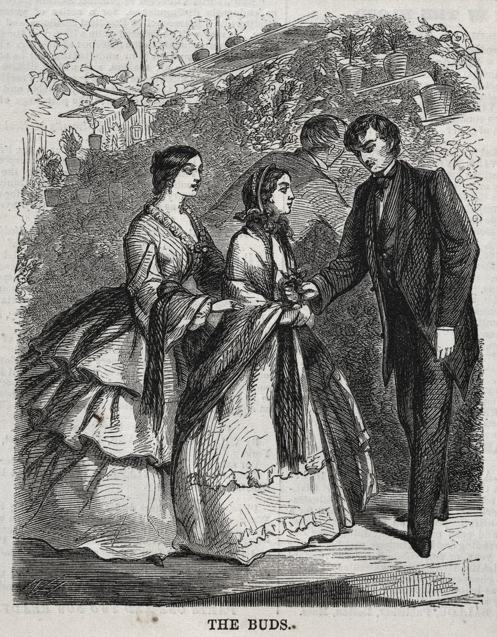 The Buds by Winslow Homer