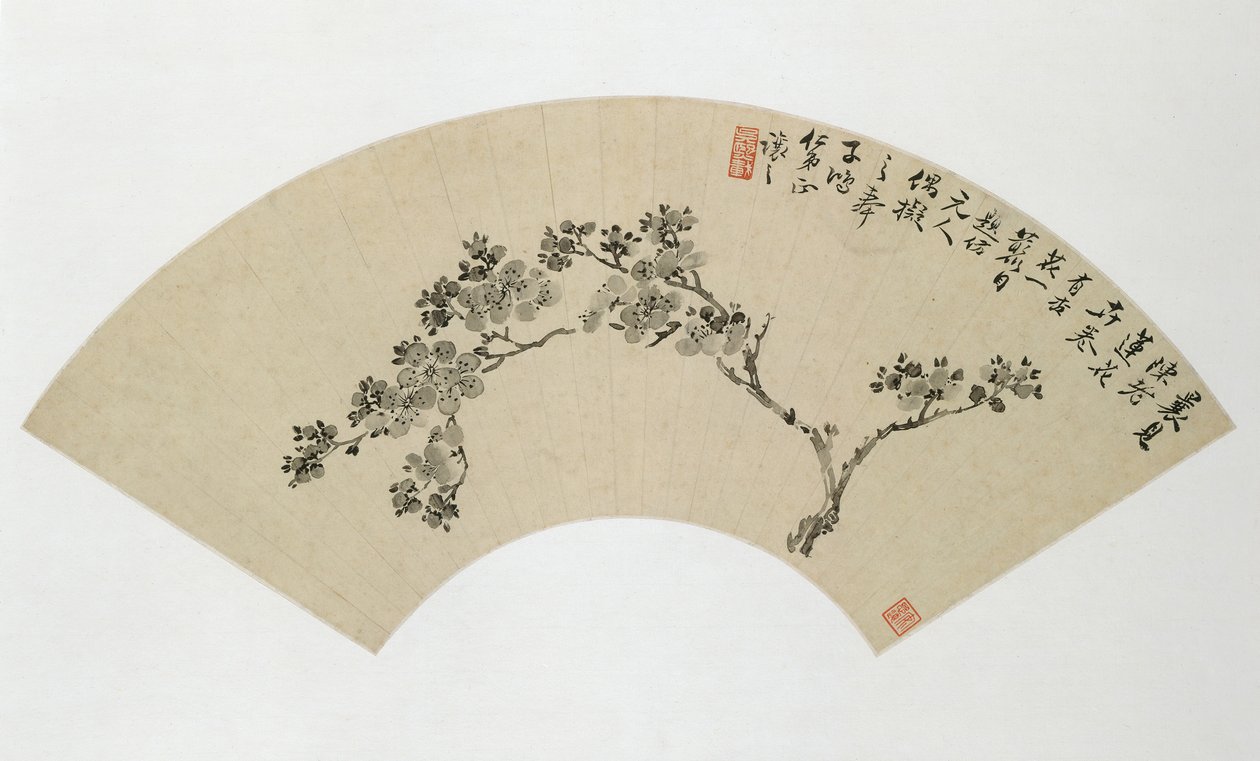 Apricot, 19th century by Wu Xizai