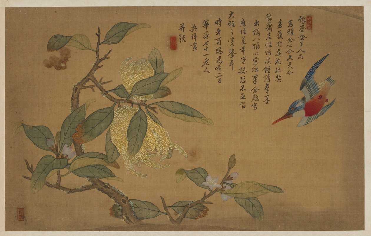 Bird, Fruit, and Flowers by Wu Zhang
