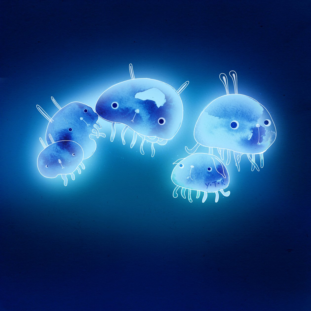 Jelly Fish, 2013 by Yoyo Zhao