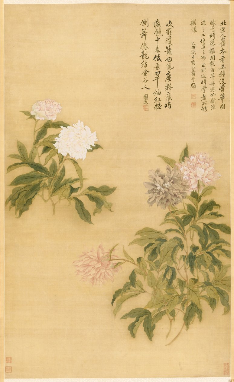 Peonies by Shouping Yun