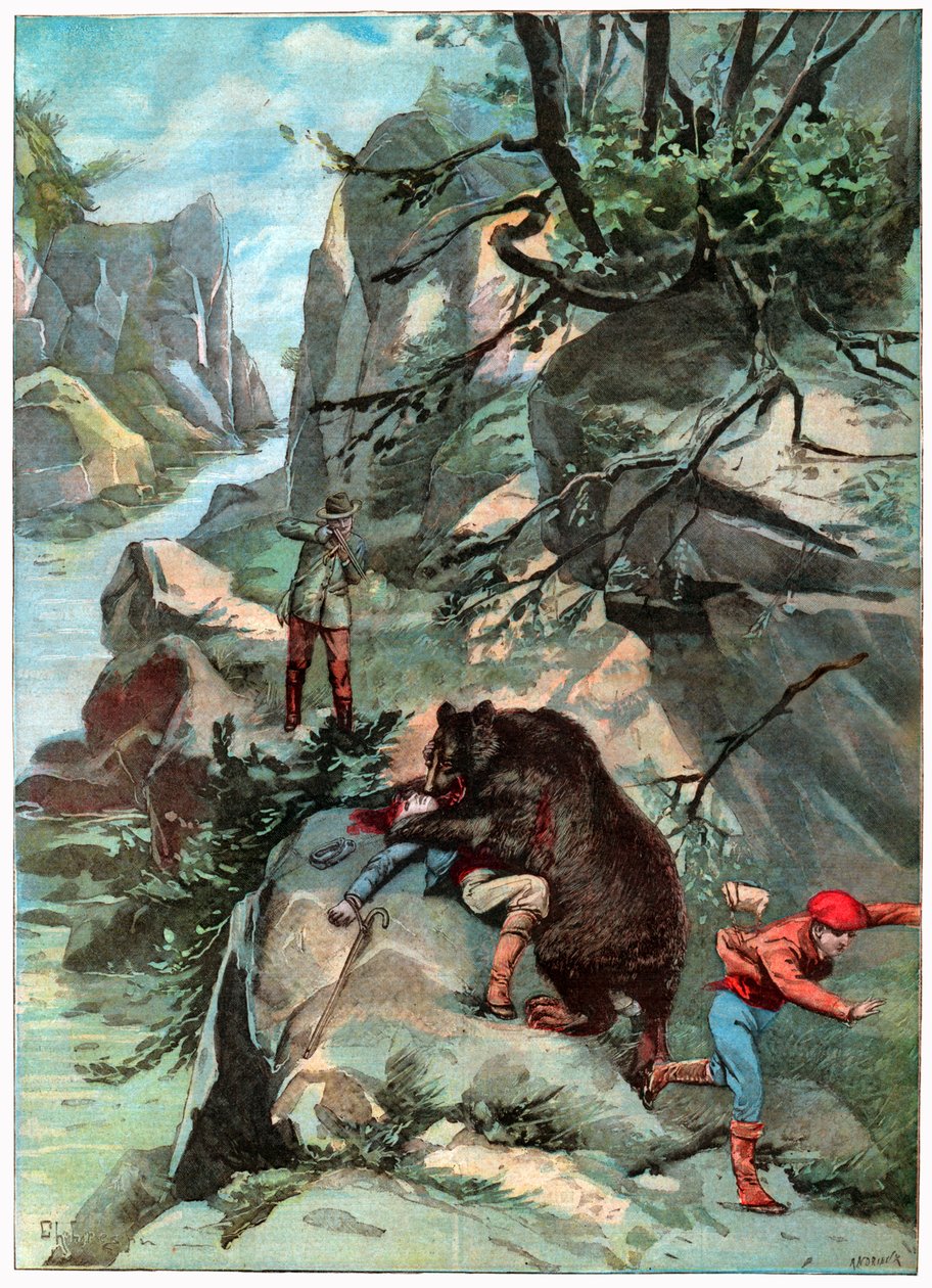 Bear Attack by . .