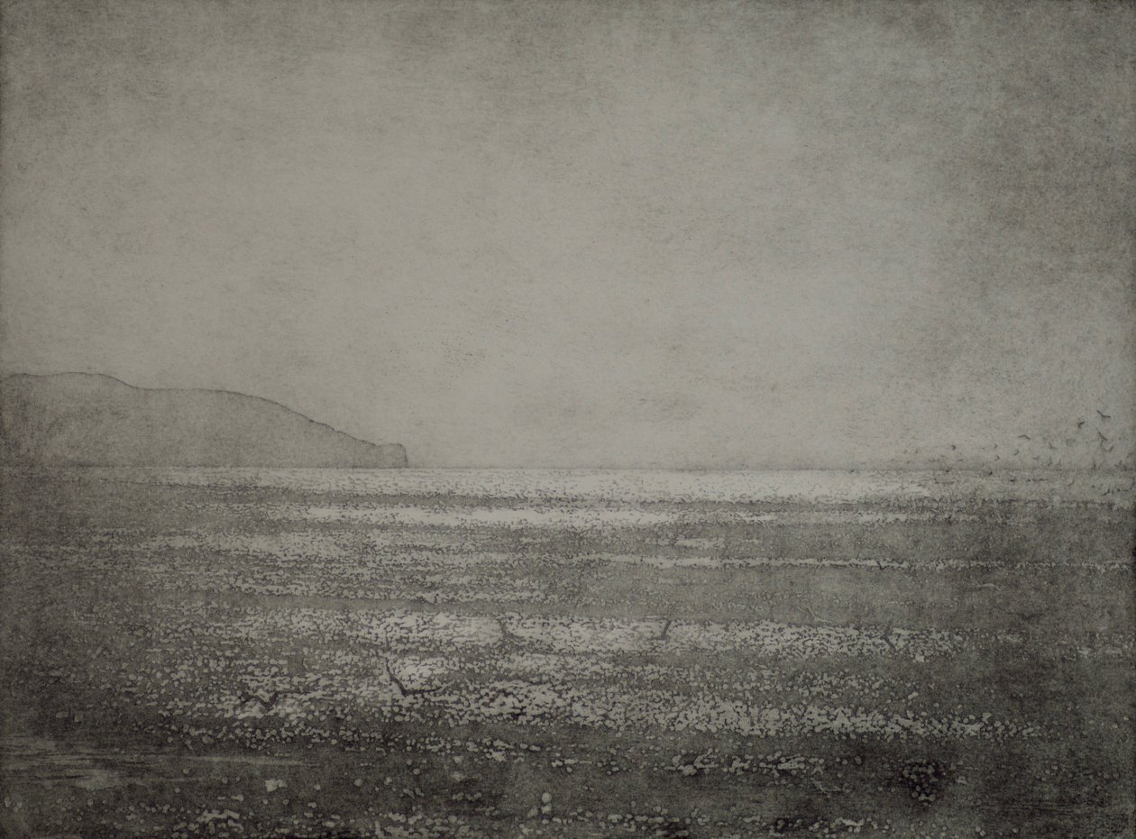 Play by angus hampel